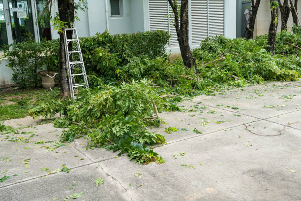 Best Storm Damage Tree Cleanup  in Croton On Hudson, NY